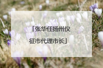 张华任扬州仪征市代理市长