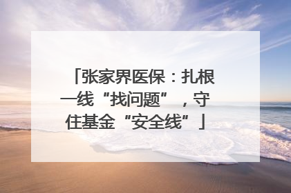 张家界医保：扎根一线“找问题”，守住基金“安全线”