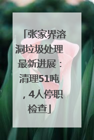 张家界溶洞垃圾处理最新进展：清理51吨，4人停职检查