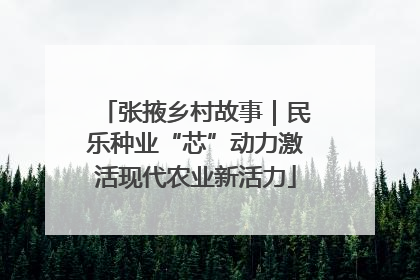 张掖乡村故事｜民乐种业“芯”动力激活现代农业新活力