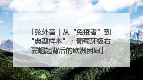 弦外音｜从“免疫者”到“典型样本”：葡萄牙极右翼崛起背后的欧洲困局