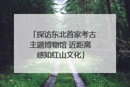 探访东北首家考古主题博物馆 近距离感知红山文化