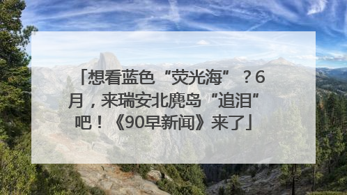 想看蓝色“荧光海”？6月，来瑞安北麂岛“追泪”吧！《90早新闻》来了
