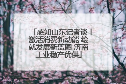 感知山东记者谈丨激活消费新动能 绘就发展新蓝图 济南工业稳产优供
