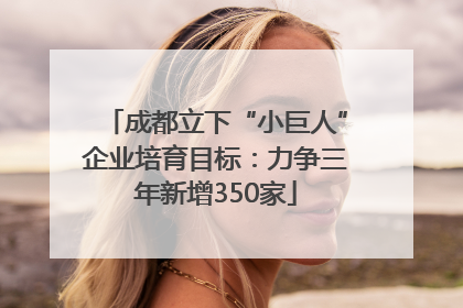 成都立下“小巨人”企业培育目标：力争三年新增350家
