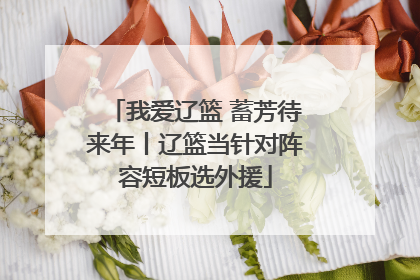 我爱辽篮 蓄芳待来年丨辽篮当针对阵容短板选外援