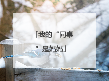 我的“同桌”是妈妈