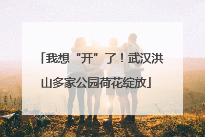 我想“开”了！武汉洪山多家公园荷花绽放