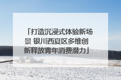 打造沉浸式体验新场景 银川西夏区多维创新释放青年消费潜力