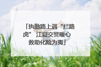 执勤路上遇“拦路虎” 江夏交警暖心救助化险为夷