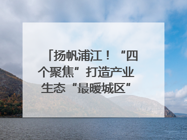 扬帆浦江！“四个聚焦”打造产业生态“最暖城区”｜相约复兴岛