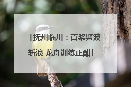 抚州临川：百桨劈波斩浪 龙舟训练正酣
