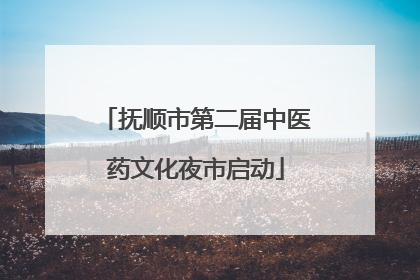 抚顺市第二届中医药文化夜市启动