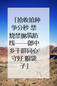 抢收抢种争分秒 禁烧禁抛筑防线——郎中乡干群同心守好 粮袋子
