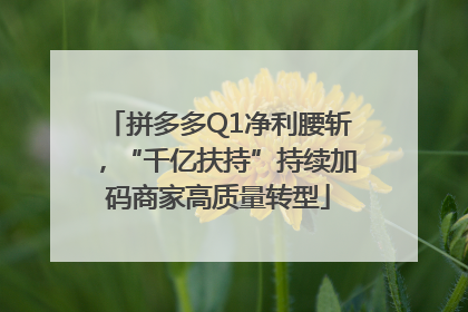 拼多多Q1净利腰斩，“千亿扶持”持续加码商家高质量转型