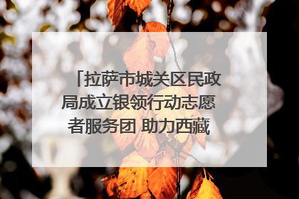 拉萨市城关区民政局成立银领行动志愿者服务团 助力西藏银发经济发展