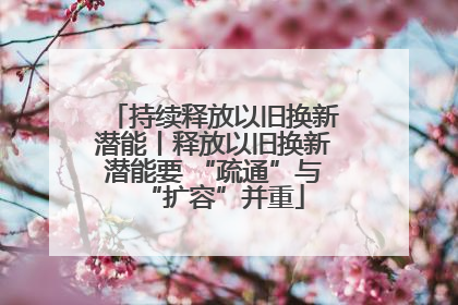 持续释放以旧换新潜能丨释放以旧换新潜能要 “疏通”与“扩容”并重