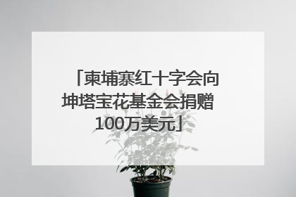柬埔寨红十字会向坤塔宝花基金会捐赠100万美元