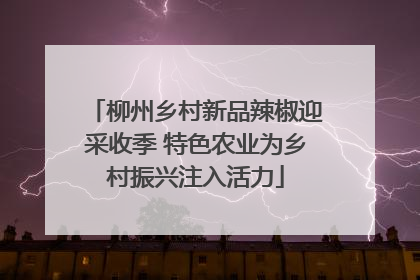 柳州乡村新品辣椒迎采收季 特色农业为乡村振兴注入活力