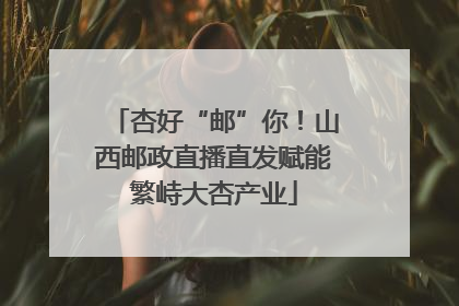 杏好“邮”你！山西邮政直播直发赋能繁峙大杏产业