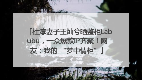 杜淳妻子王灿兮晒整柜Labubu，一众爆款IP齐聚！网友：我的 “梦中情柜”
