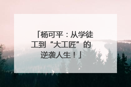 杨可平：从学徒工到“大工匠”的逆袭人生！