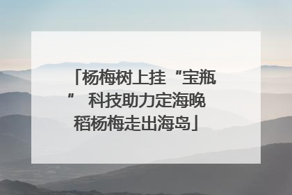 杨梅树上挂“宝瓶” 科技助力定海晚稻杨梅走出海岛