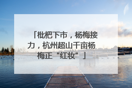 枇杷下市，杨梅接力，杭州超山千亩杨梅正“红妆”