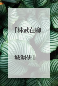 林武在聊城调研