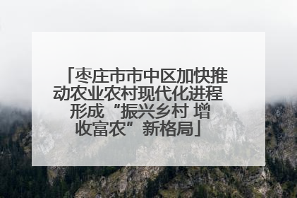 枣庄市市中区加快推动农业农村现代化进程 形成“振兴乡村 增收富农”新格局
