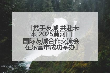携手友城 共赴未来 2025黄河口国际友城合作交流会在东营市成功举办