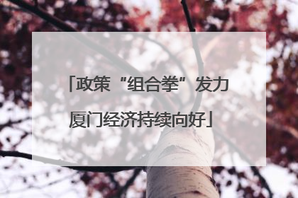 政策“组合拳”发力 厦门经济持续向好