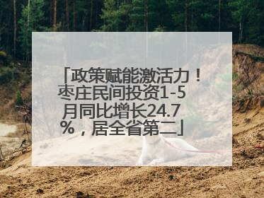 政策赋能激活力！枣庄民间投资1-5月同比增长24.7%，居全省第二