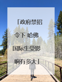 政府禁招令下 哈佛国际生受影响有多大