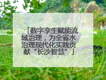 数字孪生赋能流域治理，为全省水治理现代化实践贡献“长沙智慧”