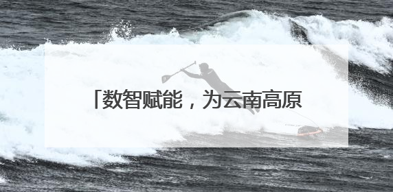 数智赋能，为云南高原农业装上“数字大脑”