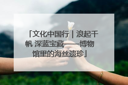 文化中国行｜浪起千帆 深蓝宝藏——博物馆里的海丝遗珍