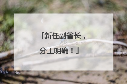 新任副省长，分工明确！