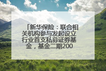 新华保险：联合相关机构参与发起设立行业首支私募证券基金，基金二期200亿元已募集完毕