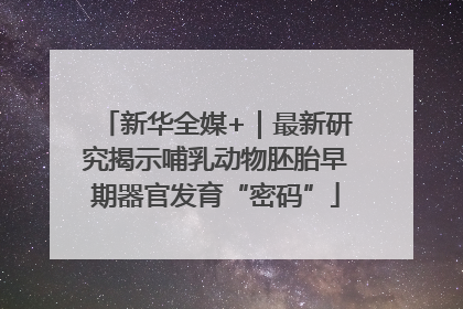新华全媒+｜最新研究揭示哺乳动物胚胎早期器官发育“密码”