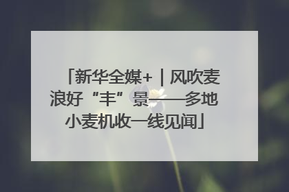 新华全媒+｜风吹麦浪好“丰”景——多地小麦机收一线见闻