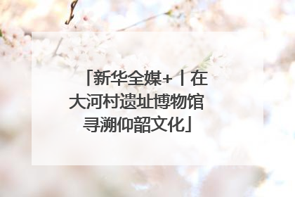 新华全媒+丨在大河村遗址博物馆寻溯仰韶文化