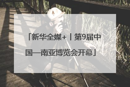 新华全媒+丨第9届中国—南亚博览会开幕