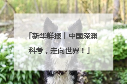 新华鲜报丨中国深渊科考，走向世界！