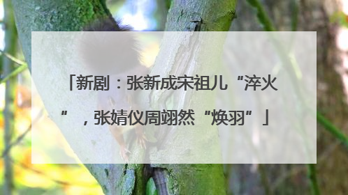 新剧：张新成宋祖儿“淬火”，张婧仪周翊然“焕羽”