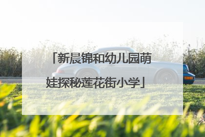 新晨锦和幼儿园萌娃探秘莲花街小学