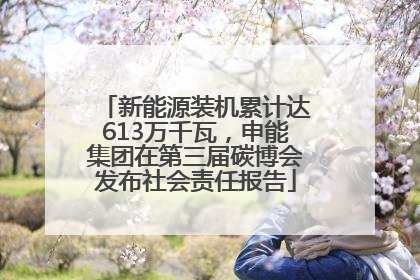 新能源装机累计达613万千瓦，申能集团在第三届碳博会发布社会责任报告