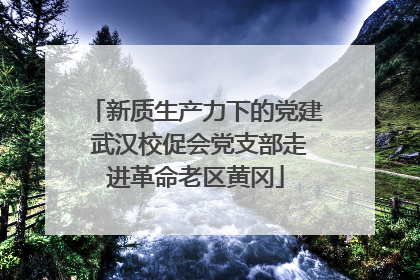 新质生产力下的党建 武汉校促会党支部走进革命老区黄冈