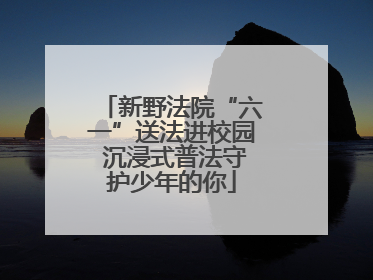 新野法院“六一”送法进校园 沉浸式普法守护少年的你