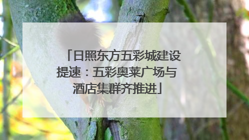 日照东方五彩城建设提速：五彩奥莱广场与酒店集群齐推进